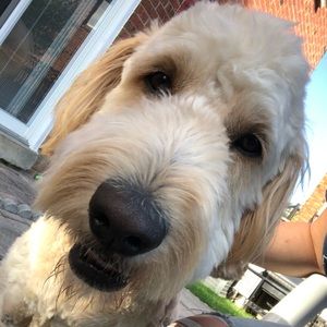 Meet your Posher, Sabrina